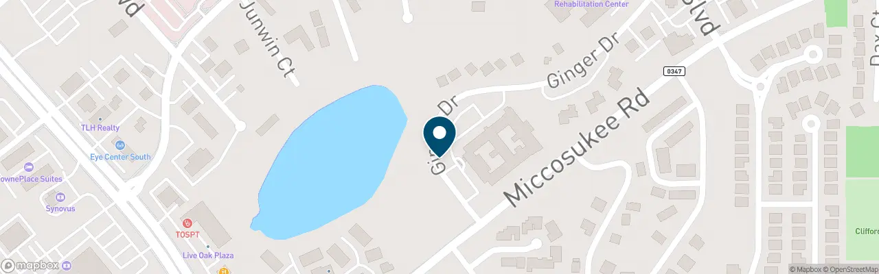 MapboxStaticMap